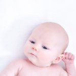 Photogenic By Nicole Bosch Photogenic By Nicole Bosch